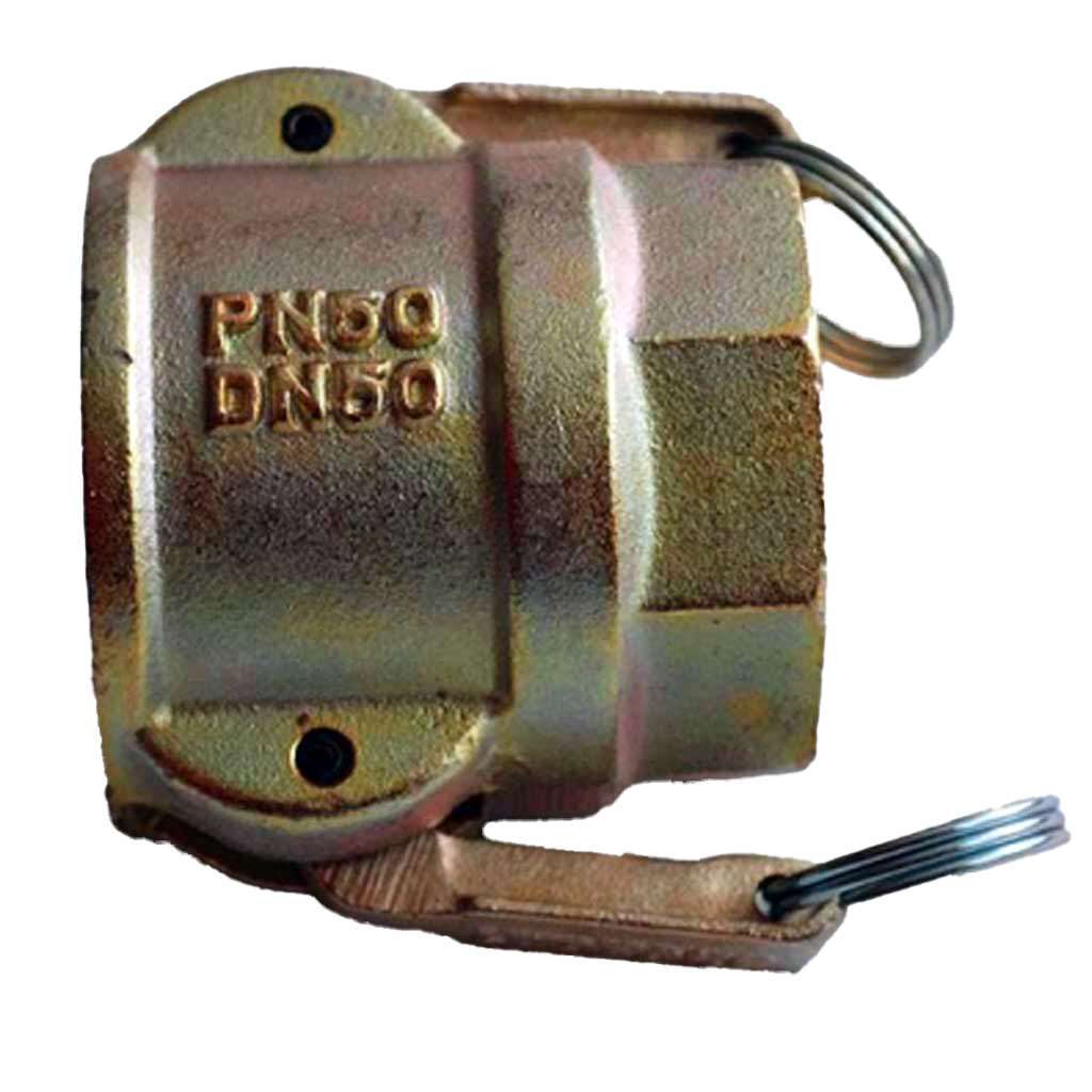 50mm Female camlock / 2" bsp female image 1
