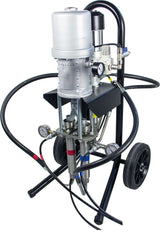 BMP80.25 INOX 1:1 Resin Injection Pump image 0